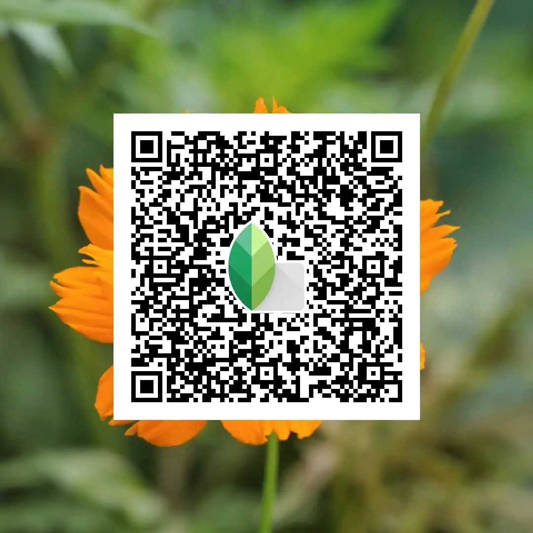 snapseed qr code