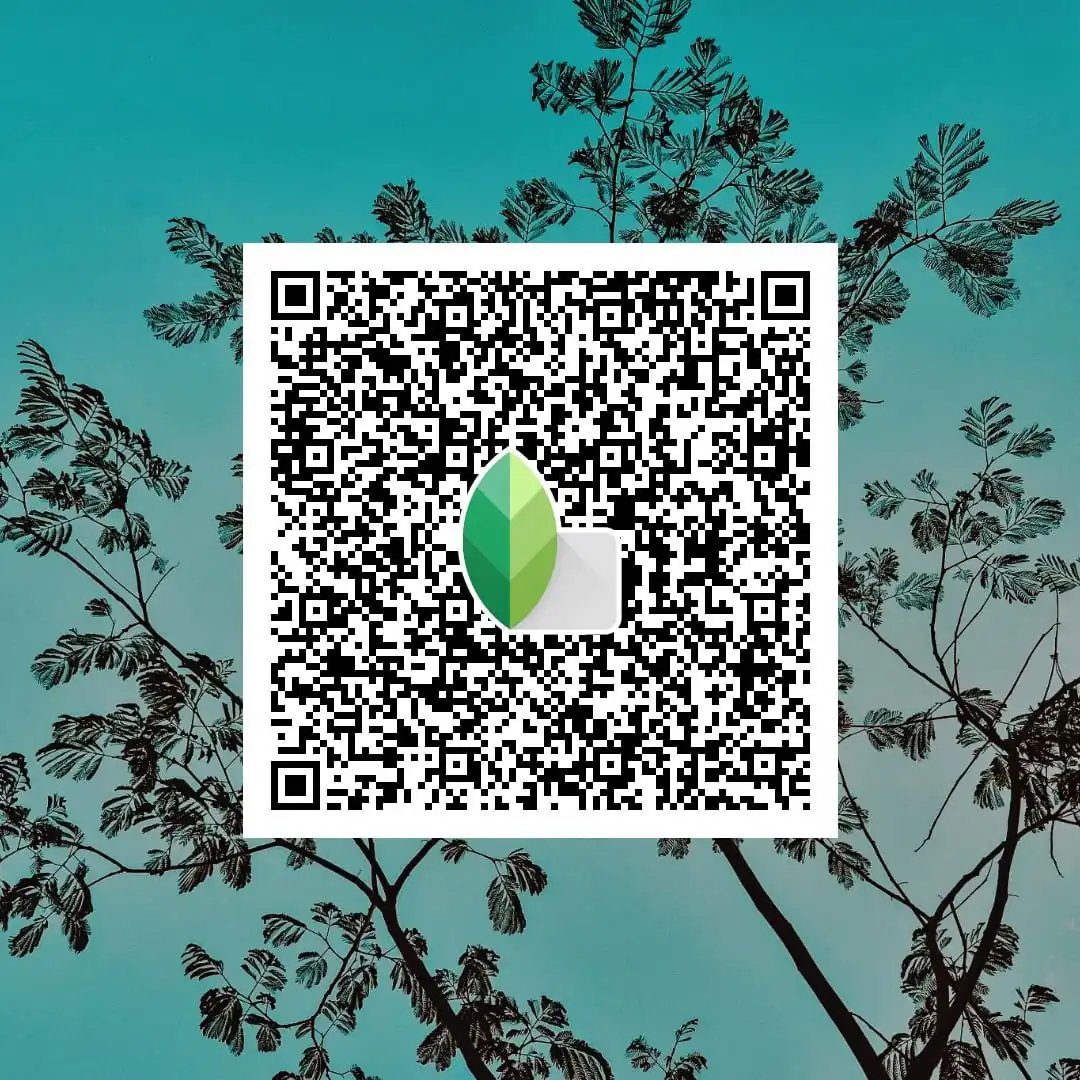 snapseed qr code