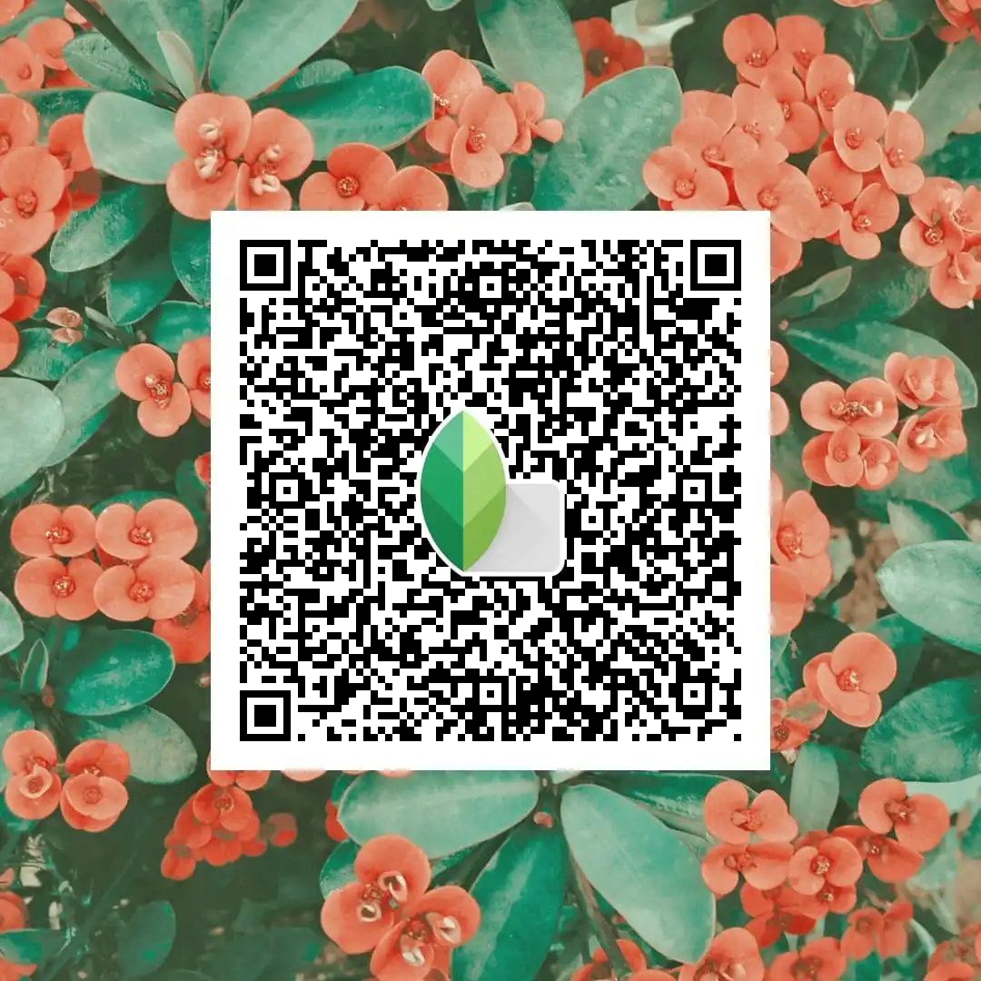 snapseed qr code