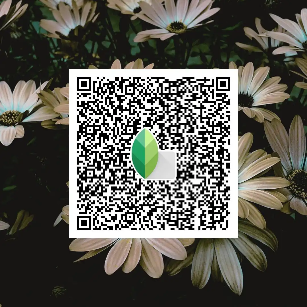 snapseed qr code