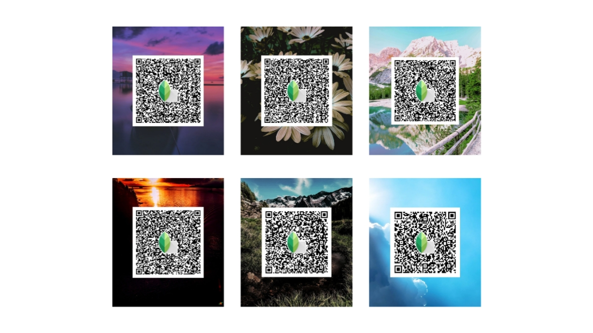 snapseed qr code