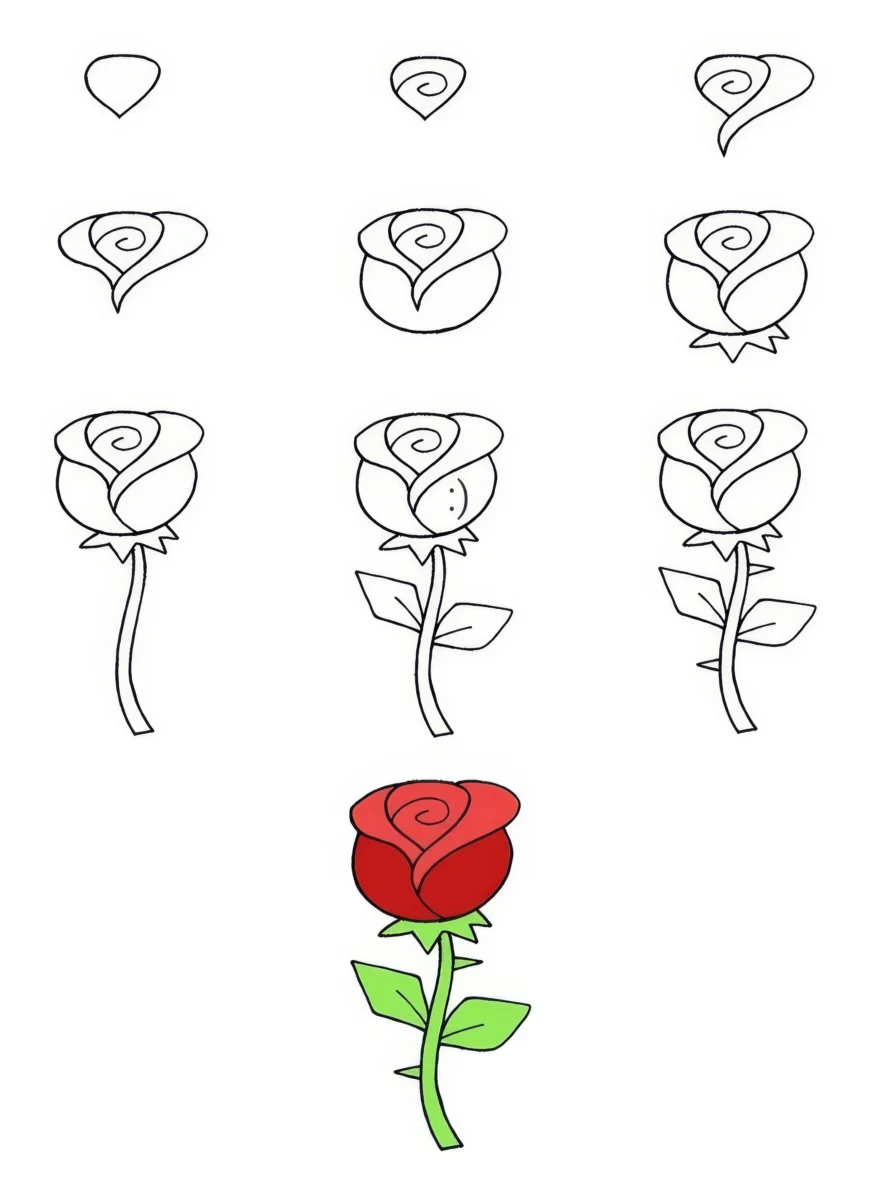 how to draw a rose