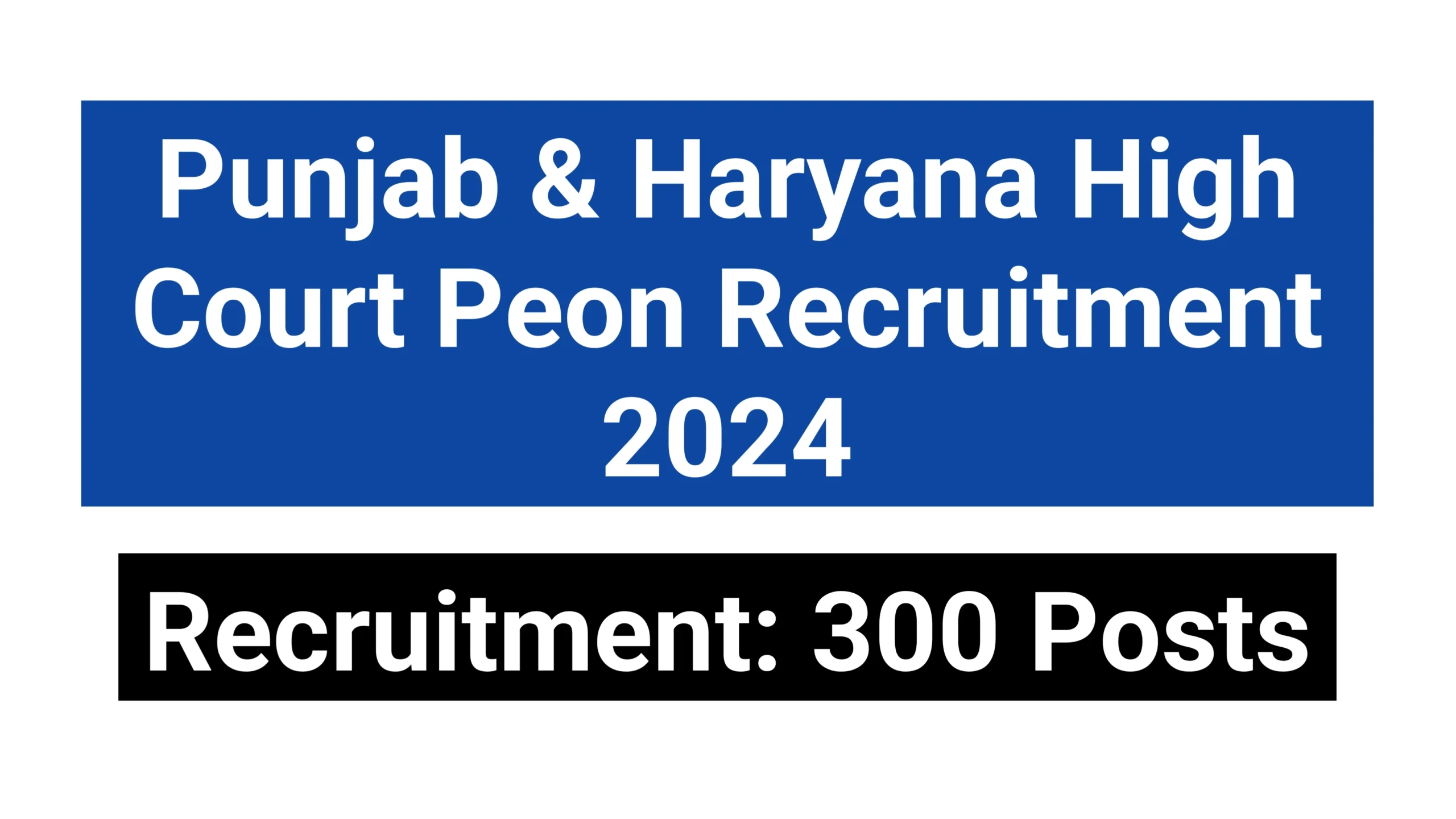 punjab haryana high court peon recruitment 2024