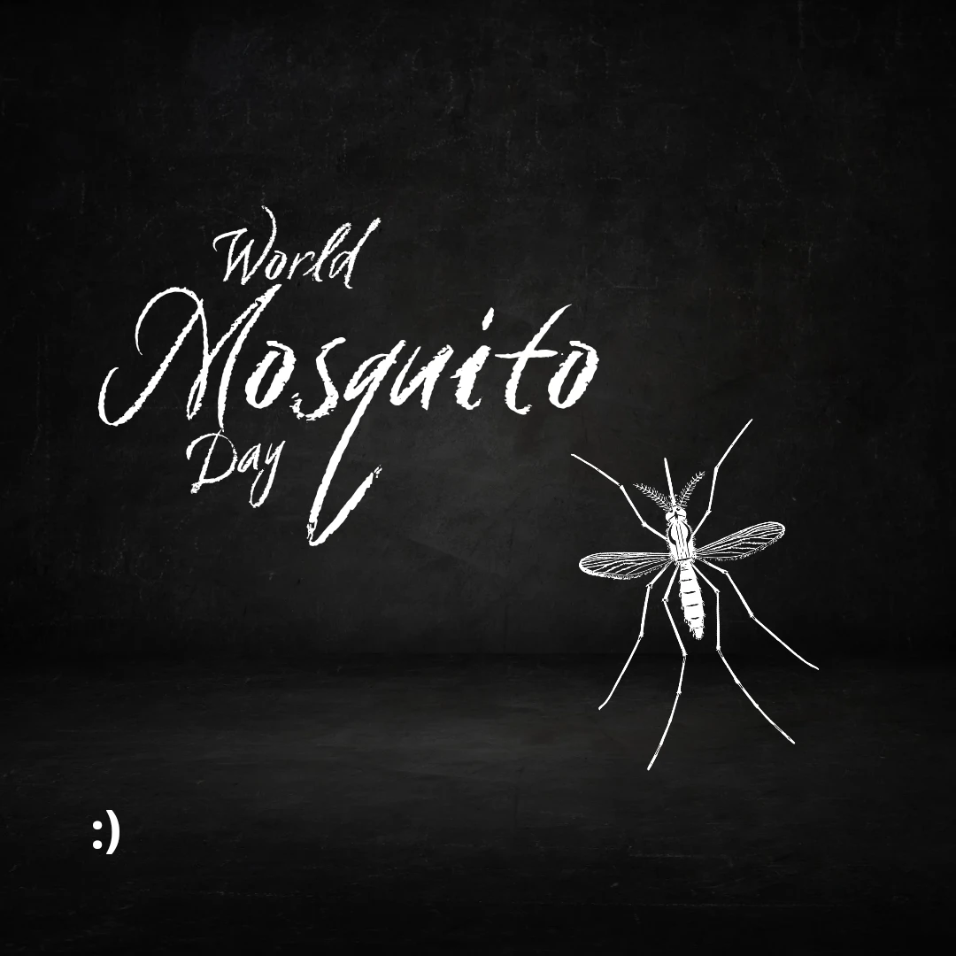 world mosquito day